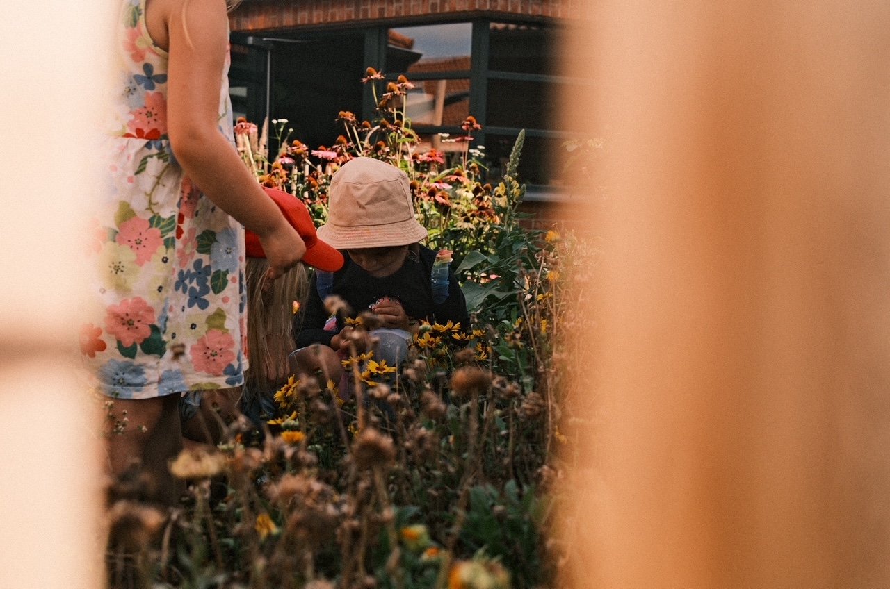 Im Färbergarten