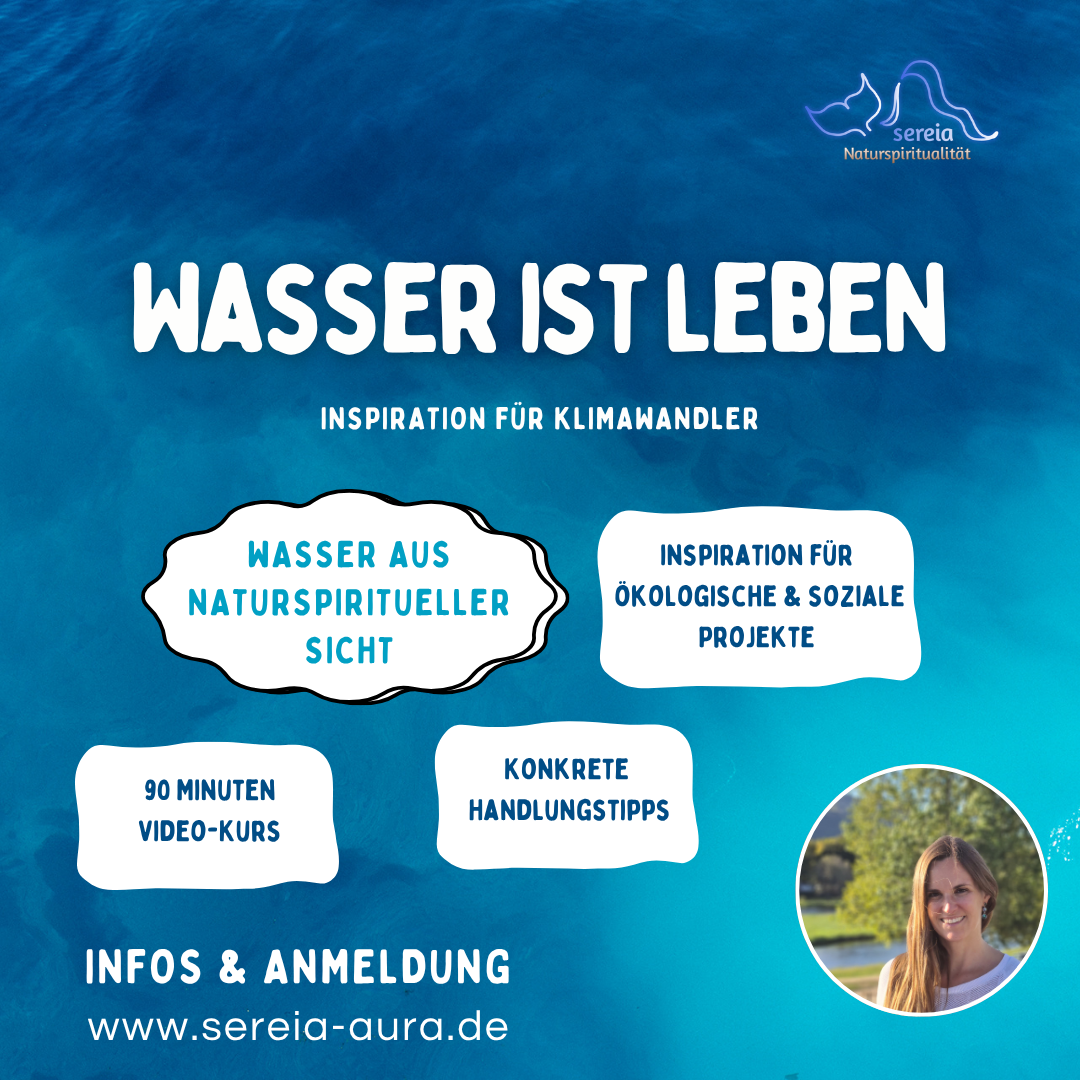 Onlinekurs "Wasser ist Leben"