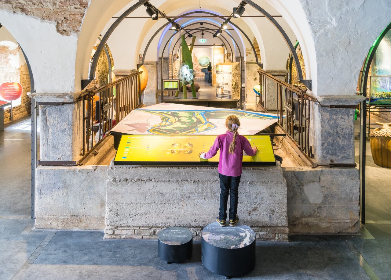 Ausstellung Umweltbildungszentrum Schatzinsel Kühkopf