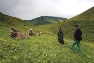 Hochalpine Allgäuer Alpwirtschaftskultur in Bad Hindelang