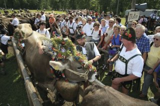 Hochalpine Allgäuer Alpwirtschaftskultur in Bad Hindelang