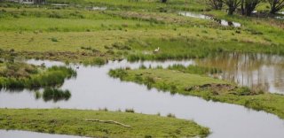 Auenlandschaft Beeder Bruch