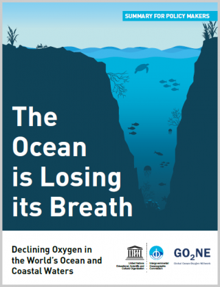 Cover "The Ocean is Losing its Breath"