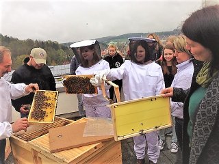 Die Schulbienen des Gymnasiums Pegnitz