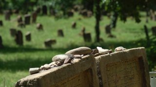 Eine Nahaufnahme eines Grabsteins, auf dessen Kante kleine Steine abgelegt wurden.