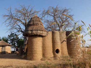 Ein ca. 8 Meter hohes Gebäude aus Stroh, mit vielen Rundungen in der Konstruktion. 