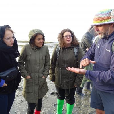 Welterbe-TeamerInnen im Wattenmeer