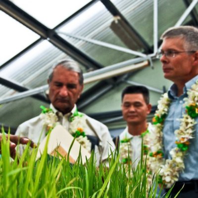 International Rice Research Institute