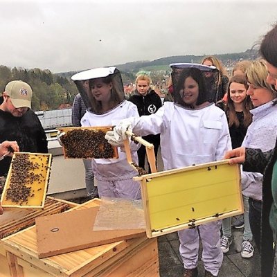 Die Schulbienen des Gymnasiums Pegnitz