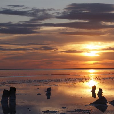 Lake Elton Biosphere Reserve - Russian Federation 