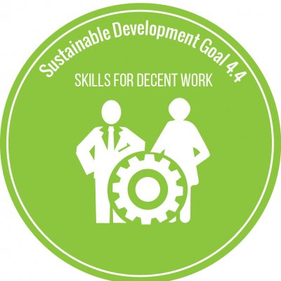 Icon SDG 4.4