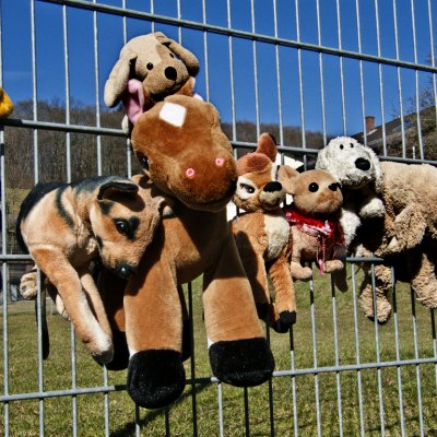 In einem Zaun hängen diverse Kuscheltiere 