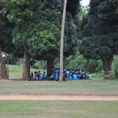 Schüler sitzen unter einem Baum auf einer Wiese und werden unterrichtet 